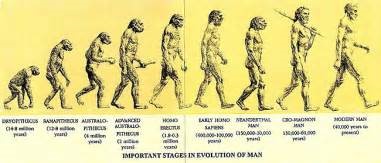 evolution chart