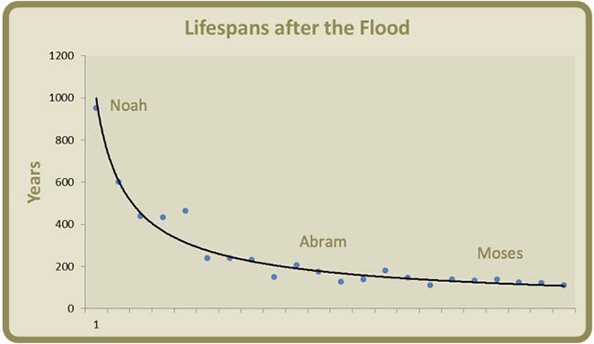 Life chart from Noah